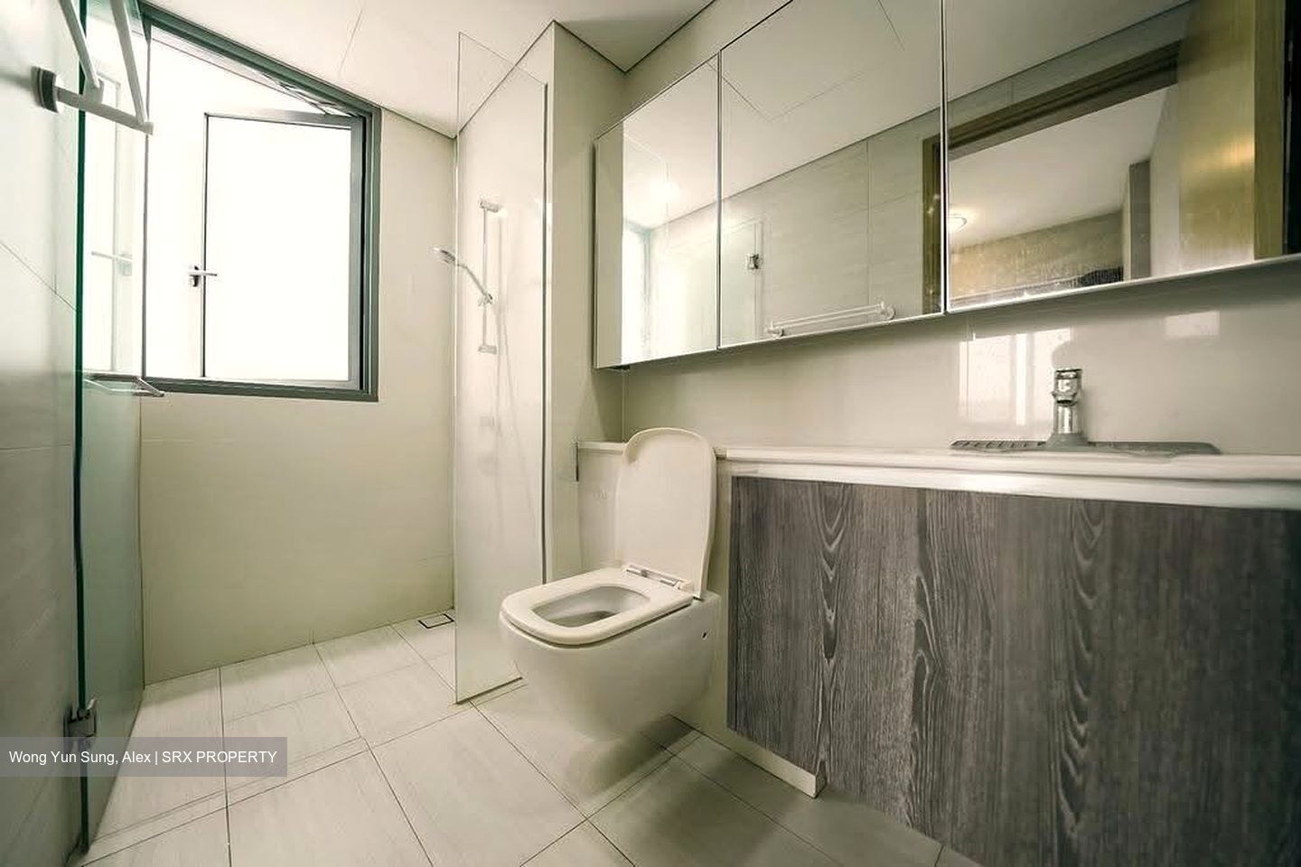 Lakeville (D22), Condominium #628906541